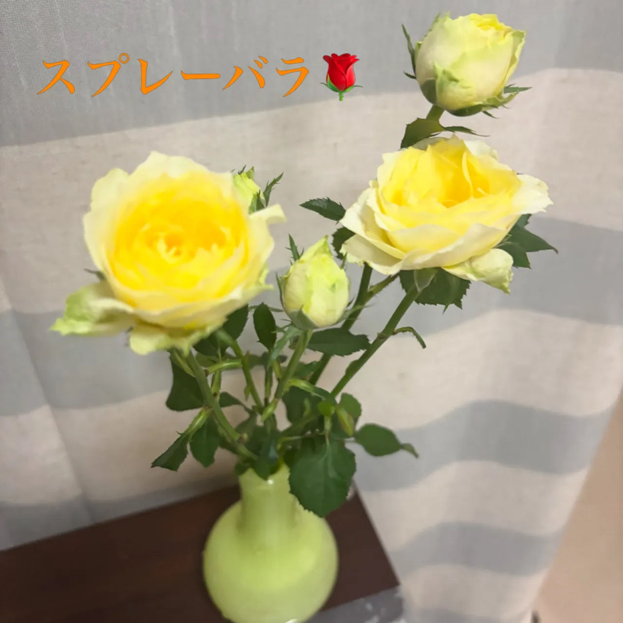 🌼今週の出迎え花🌼